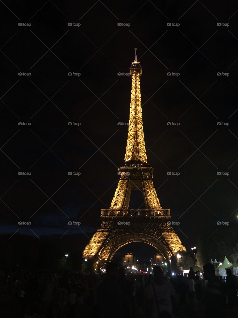 The Eiffel Tower 