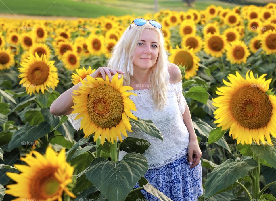 young blonde woman in sunflowers