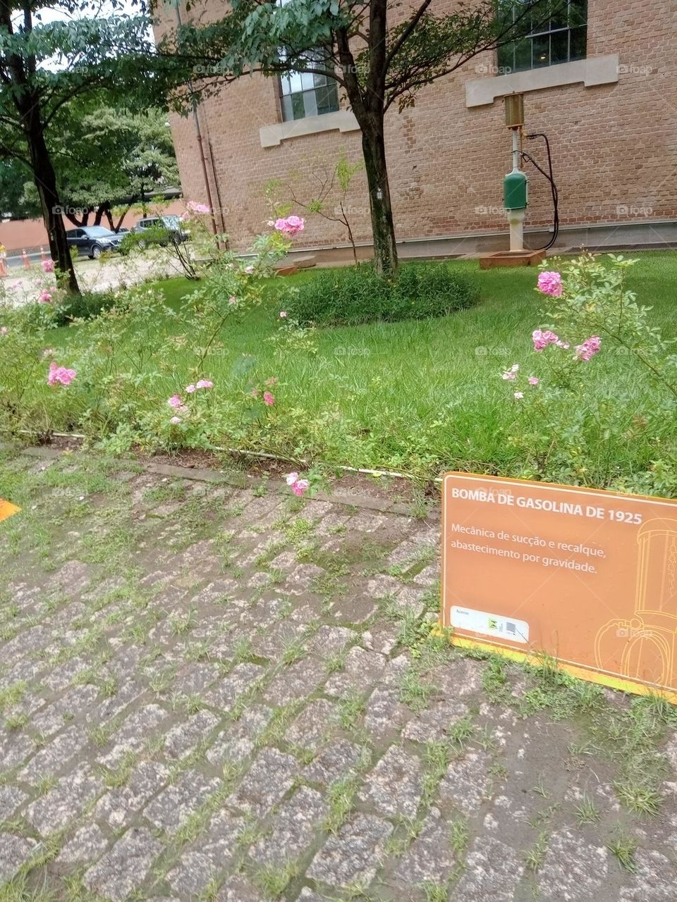 Editors'Choice Photo of the week