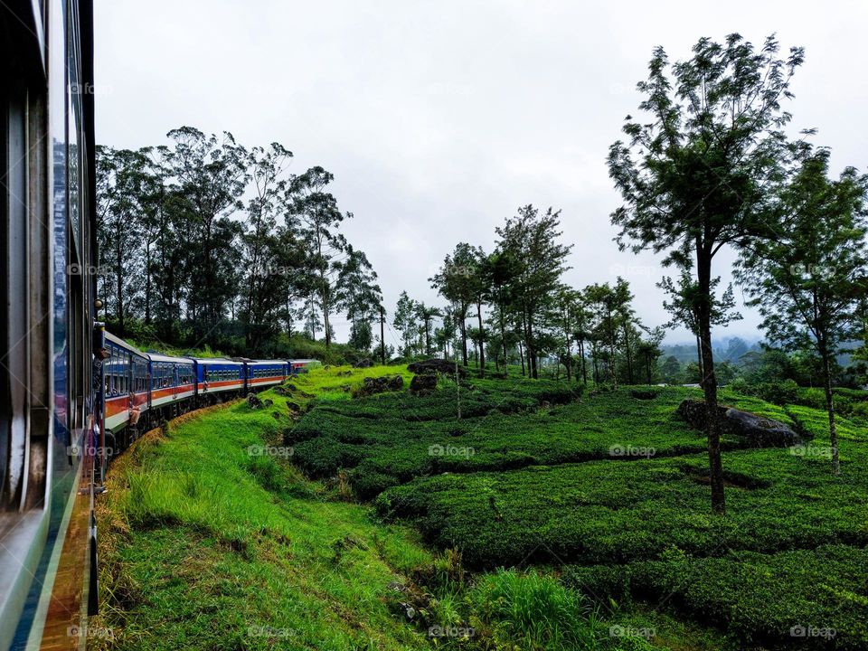 Train Window Serenity