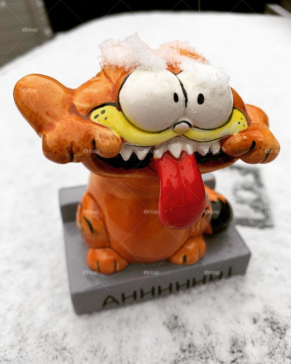 Garfield wants you to know just what he think of the snow. He says “Ahhhhhhh!” Maybe it’s just the snow in his eyes? 