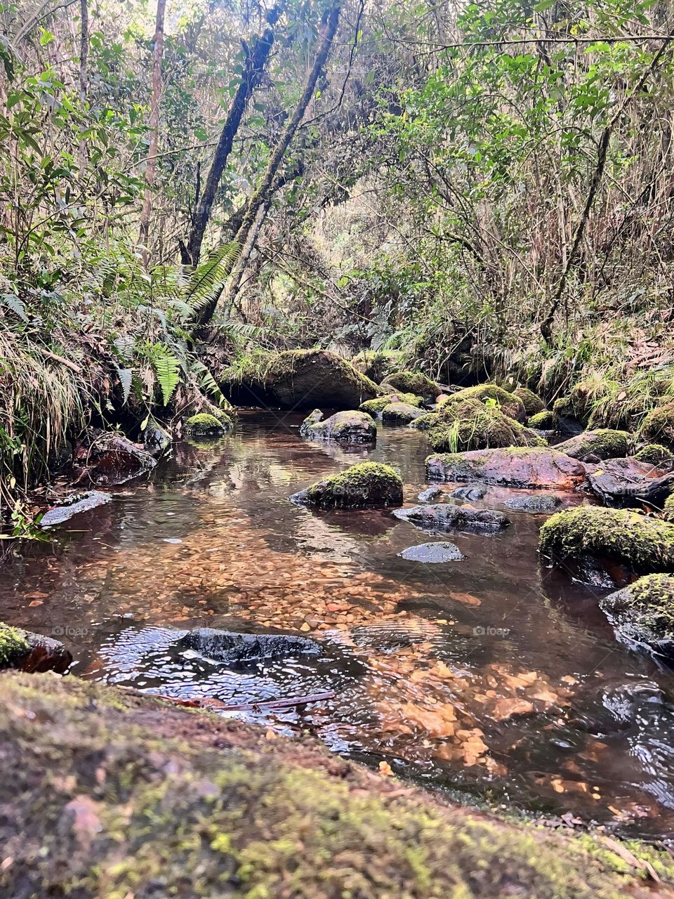 Paisaje con agua 