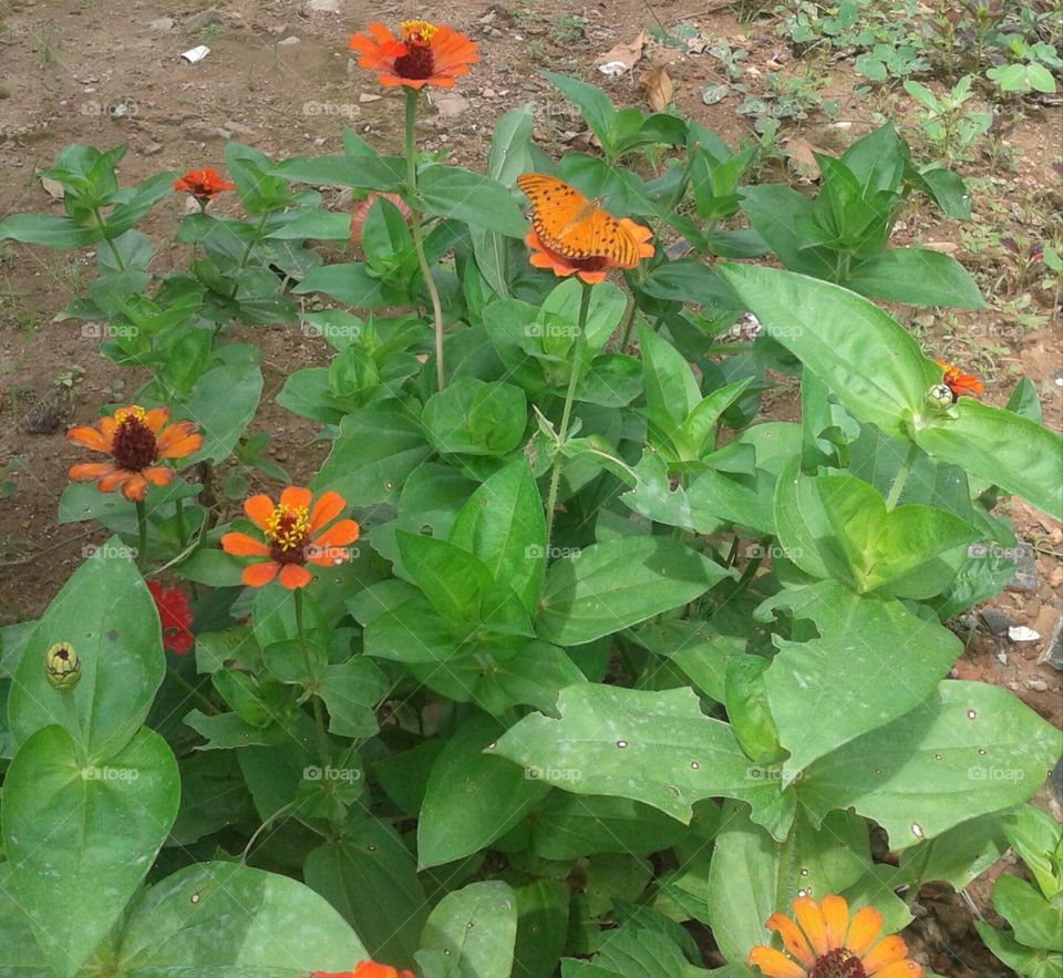 Quanto amor num só click.