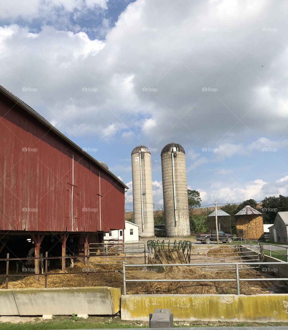 Working dairy farm Waynesboro Pennsylvania 