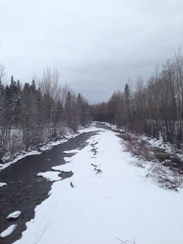 Snow, Winter, Cold, Ice, Landscape