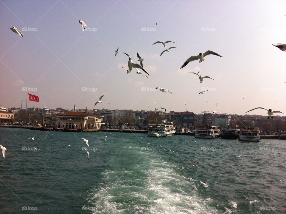 Istanbul. Freedom at sea