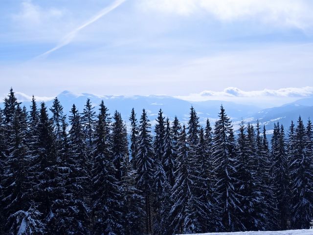 winter landscape