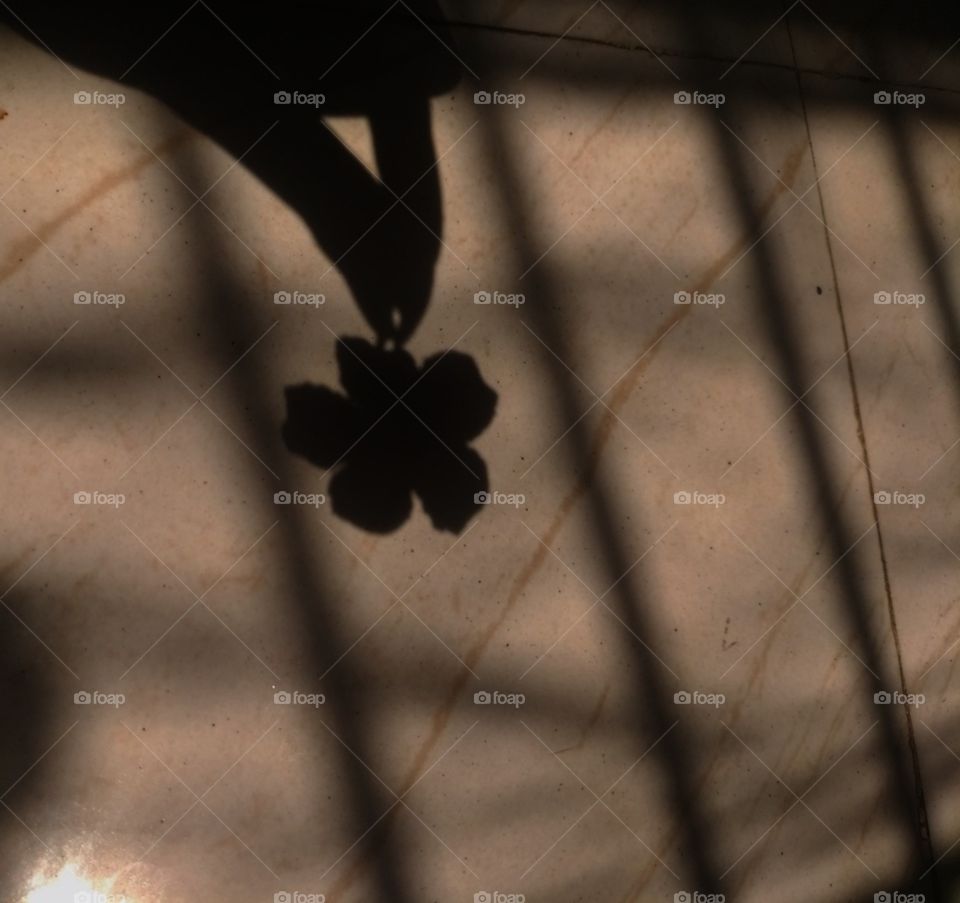 Flower Shadow👥🌹❤️