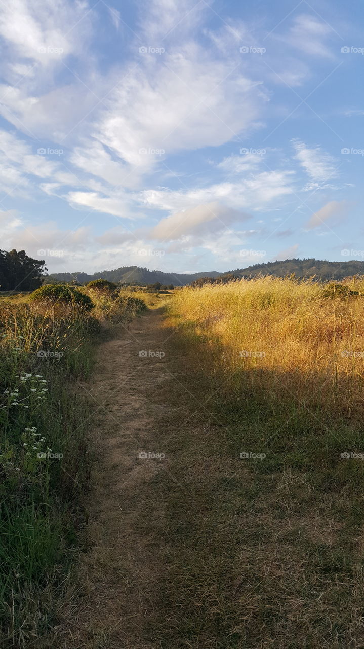 The peaceful path up from the shore and into the mountains.