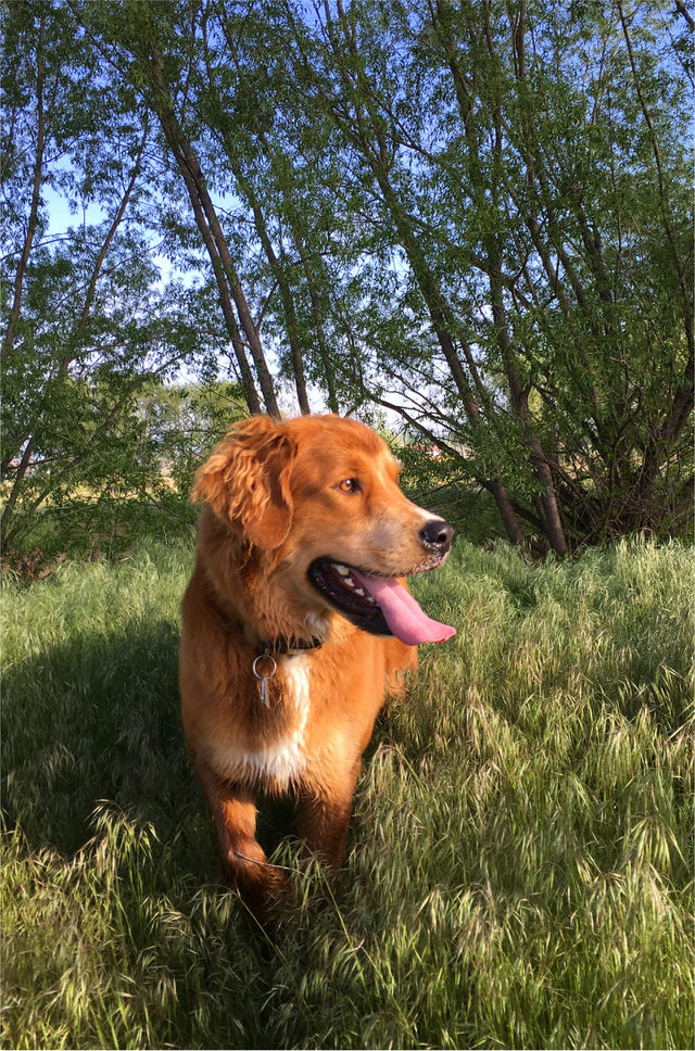 Happy outdoors.