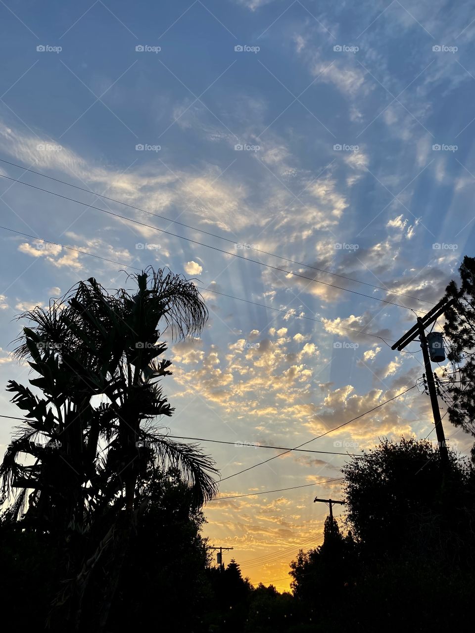 Beautiful sunset in Los Angeles California 