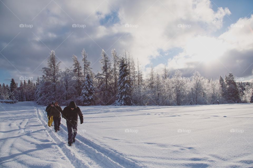 Three people hiking in the winter snow, emerging from a massive forest