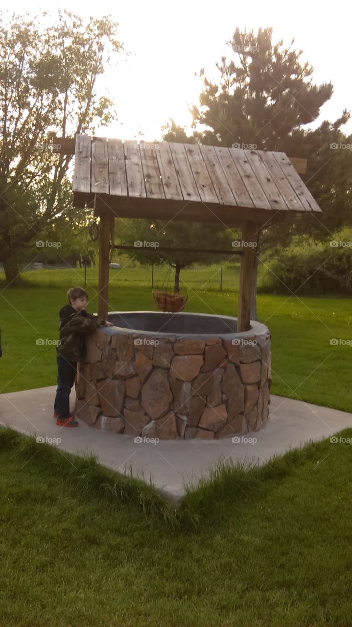 Grass, Garden, Wood, Park, Tree