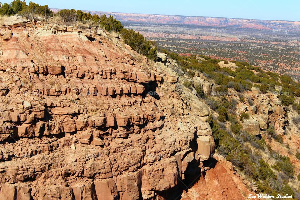 the canyon rim