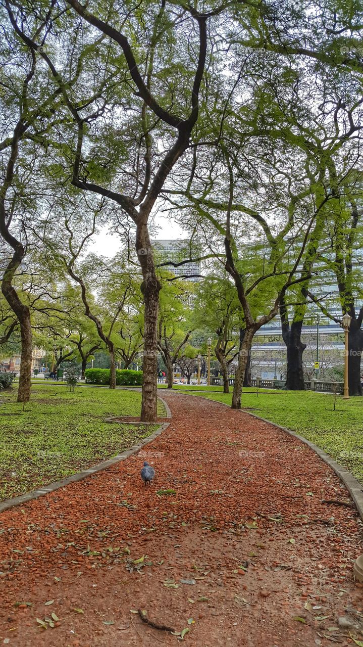 track in the park. park of Buenos Aires , Argentina