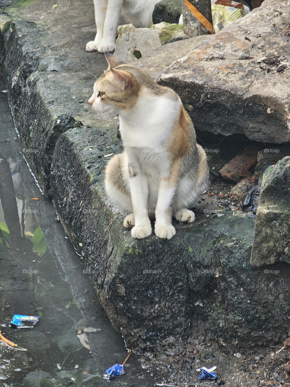 Waiting for someone!