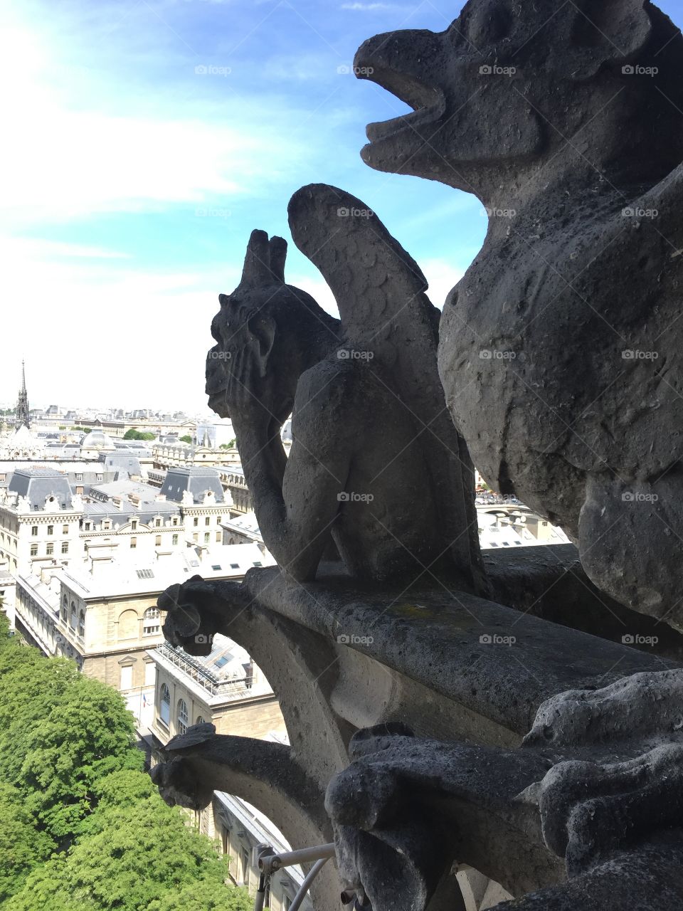 Gargoyle over Paris 