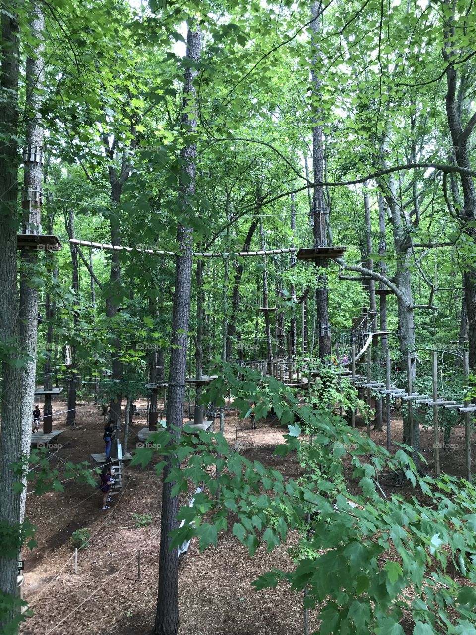 Ropes course