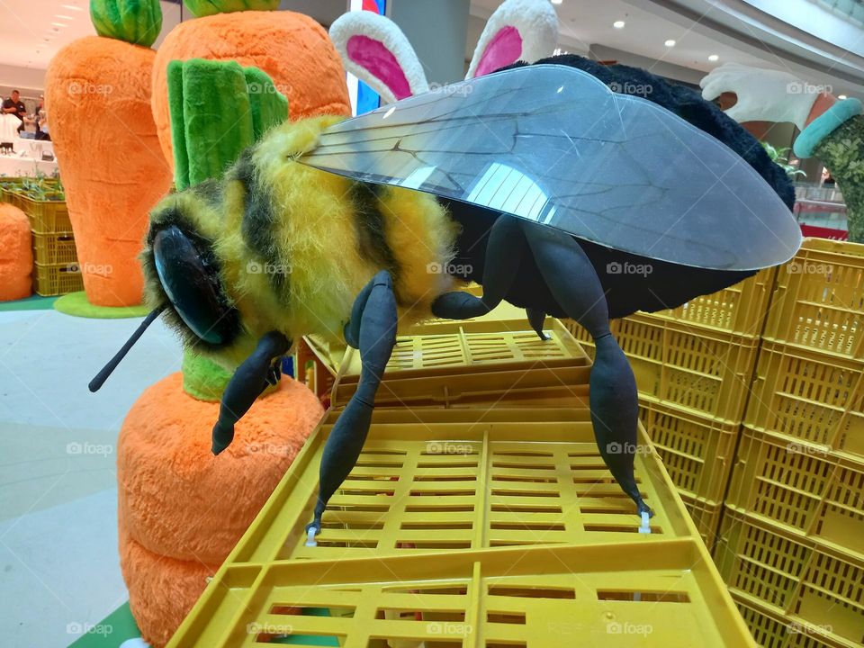 giant bee