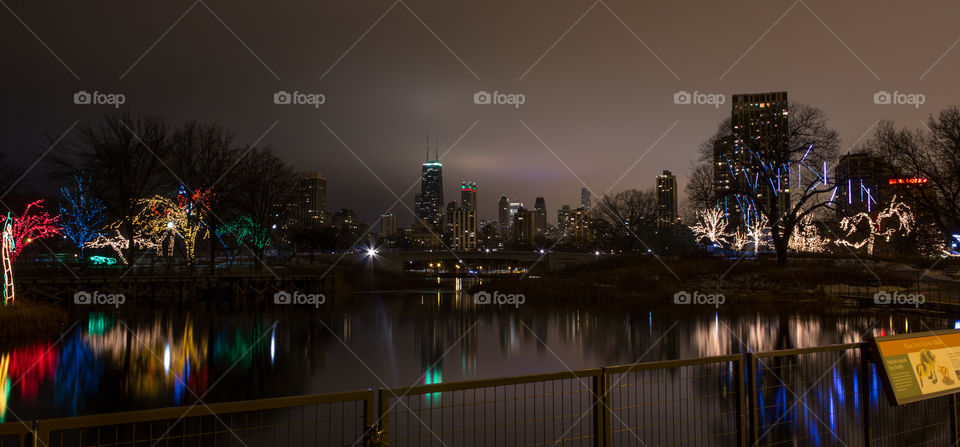 The Chicago skyline and Zoolights