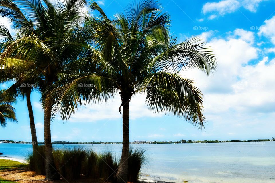 Scenic view of a lake