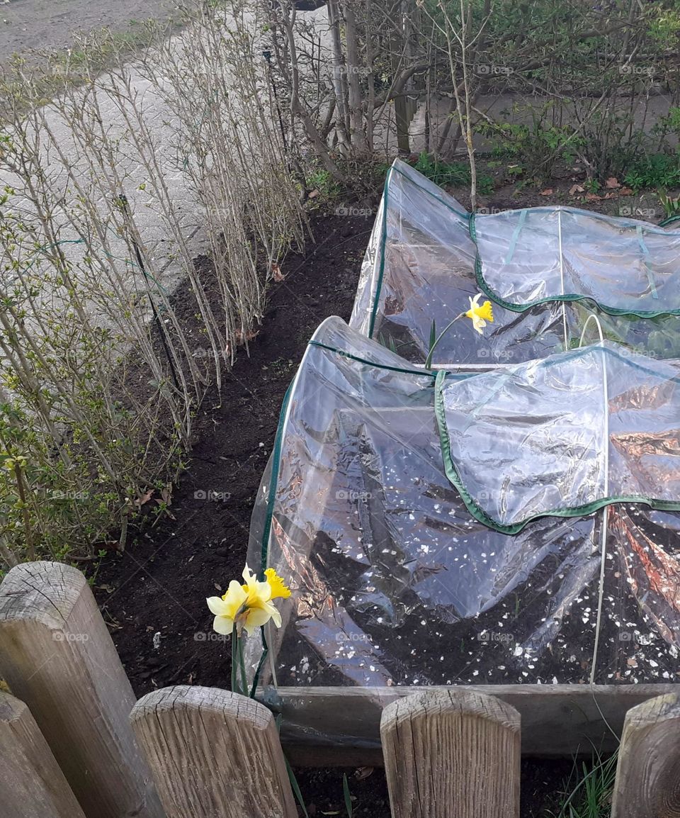 work in the garden has begun