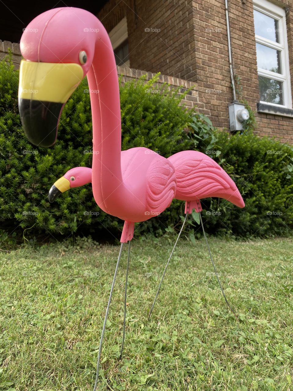 They are coming for you Martha 