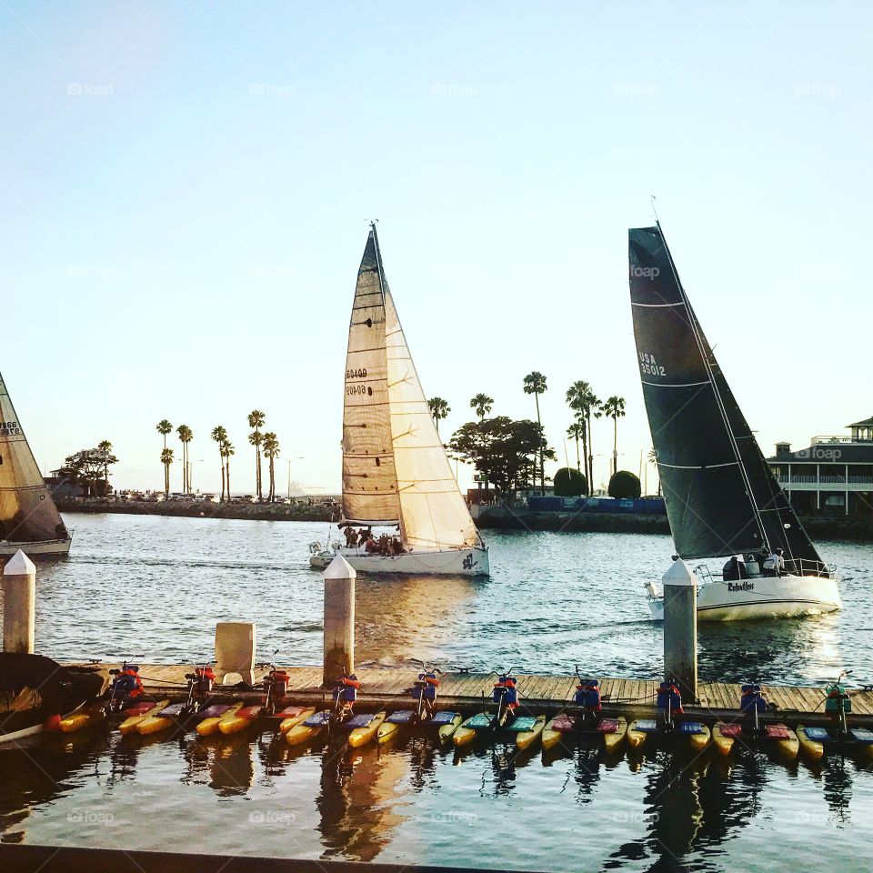 Long Beach sailing