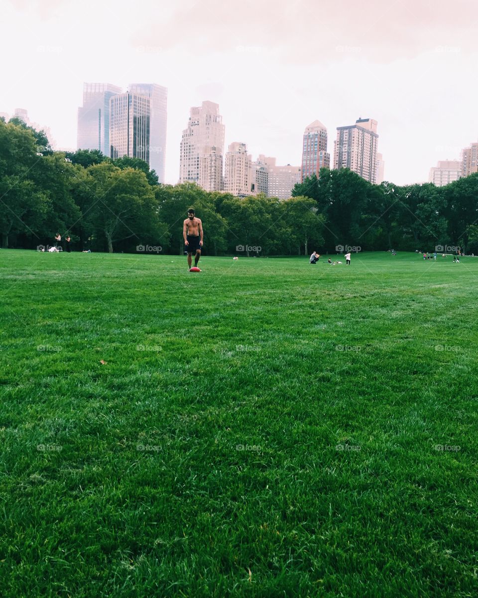 Day at the park 