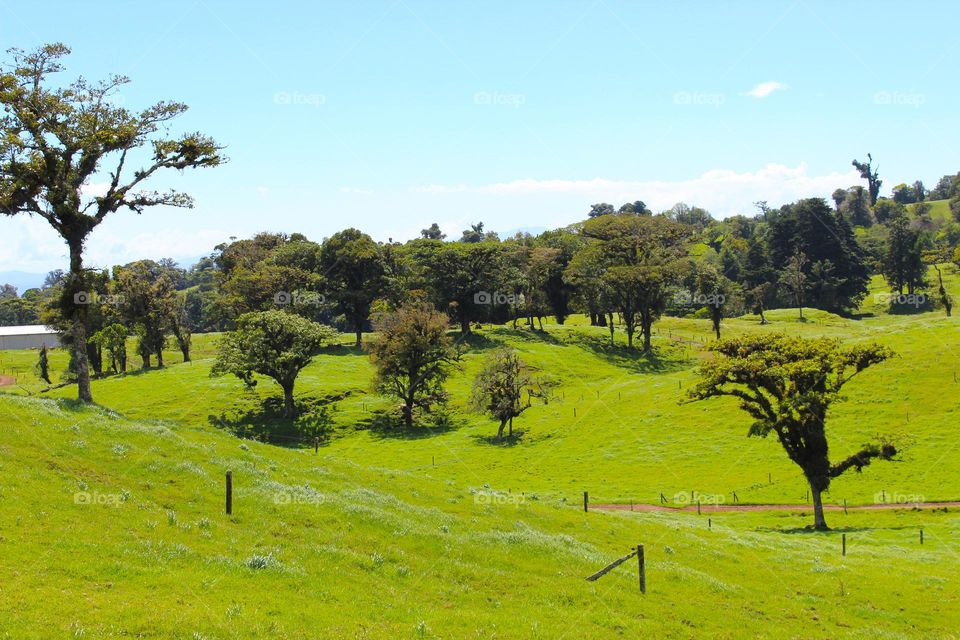 Summer tropical landscape.  Beautiful green hills with lush tropical vegetation.  Costa Rica