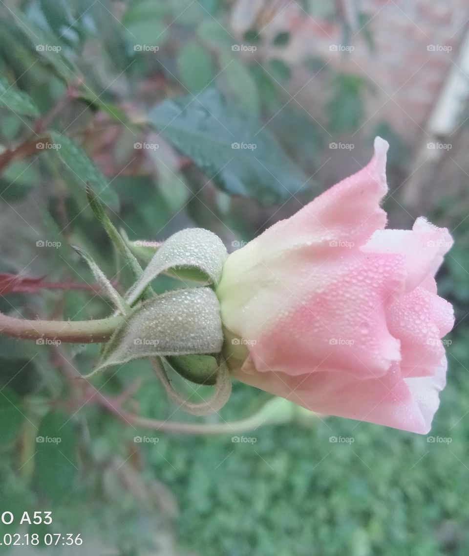 Meet everything with a great smile 🙂.