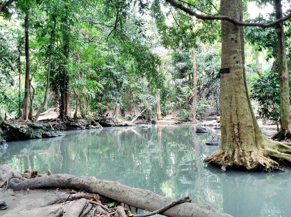 Water from waterfall
