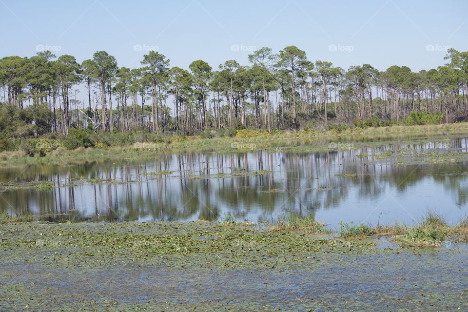 Reflections of a great day