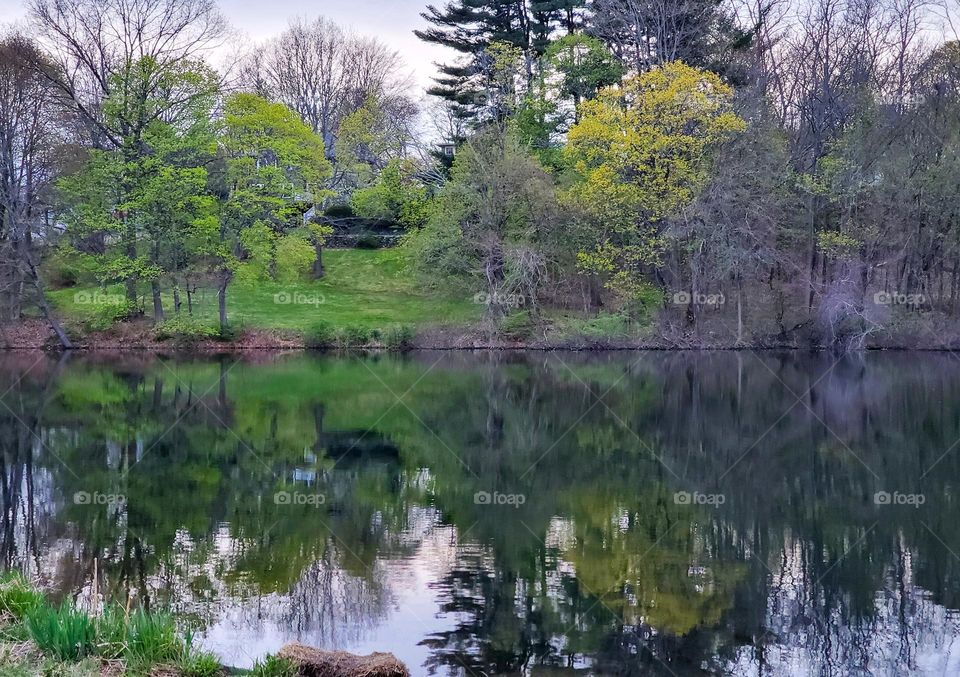 Beauty is reflected on a calm pond