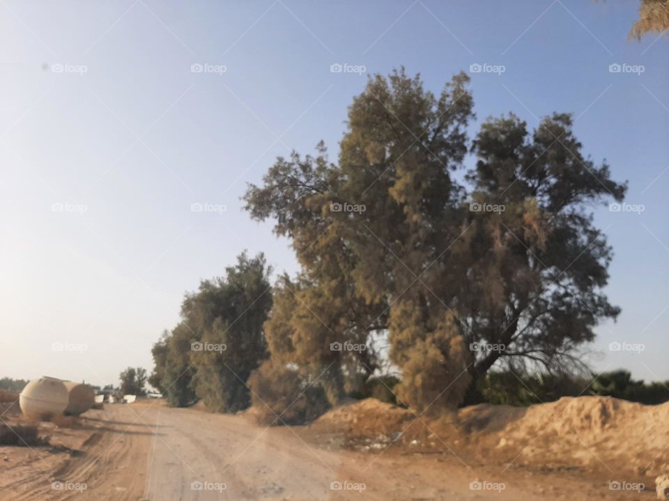 Please make me happy, I am poor, I need your help with support