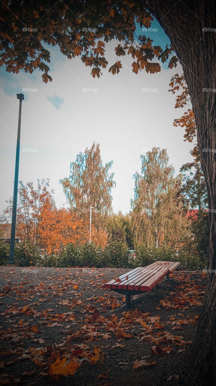 happy autumn therapy