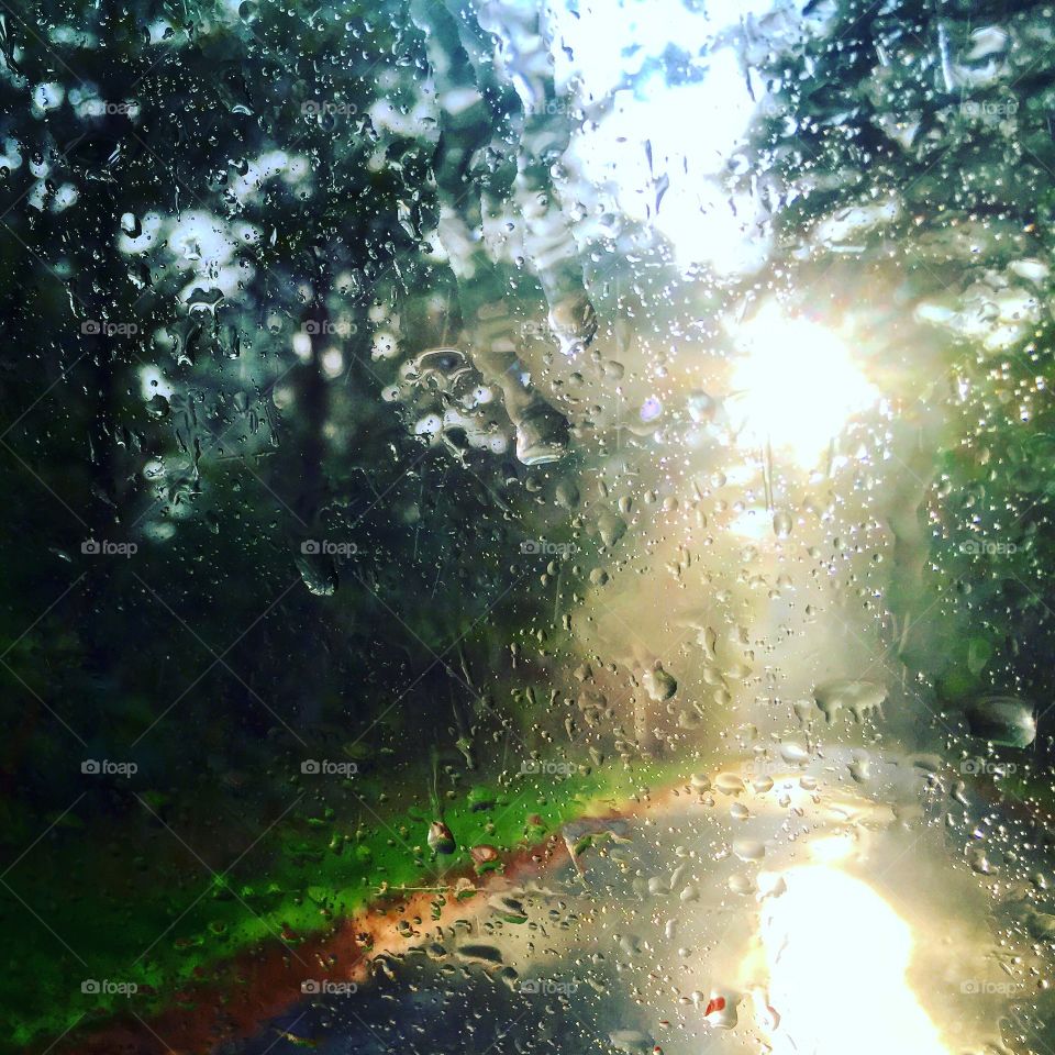 Sun, Sunbeam, Bright, Nature, Fair Weather