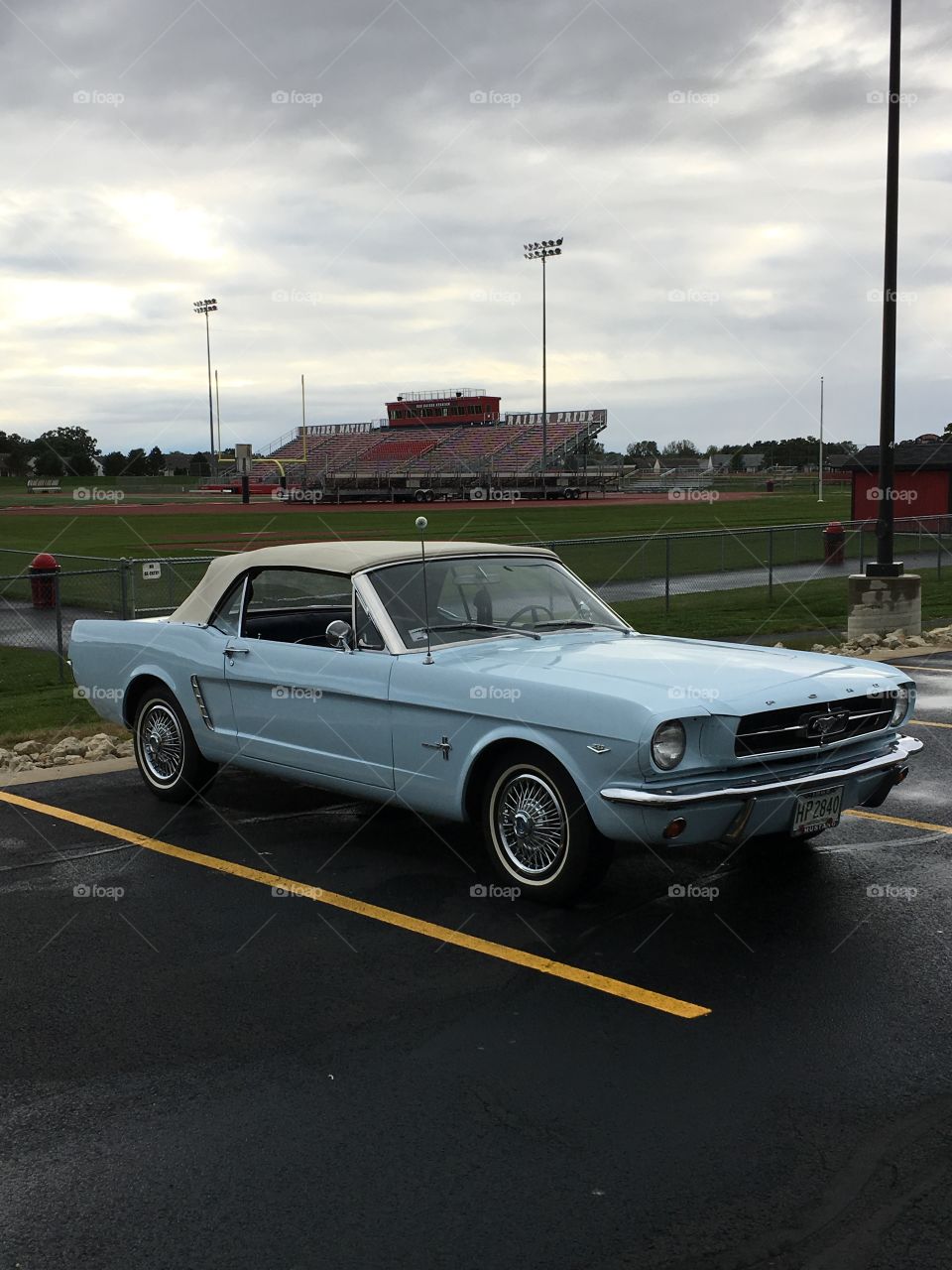 The stang