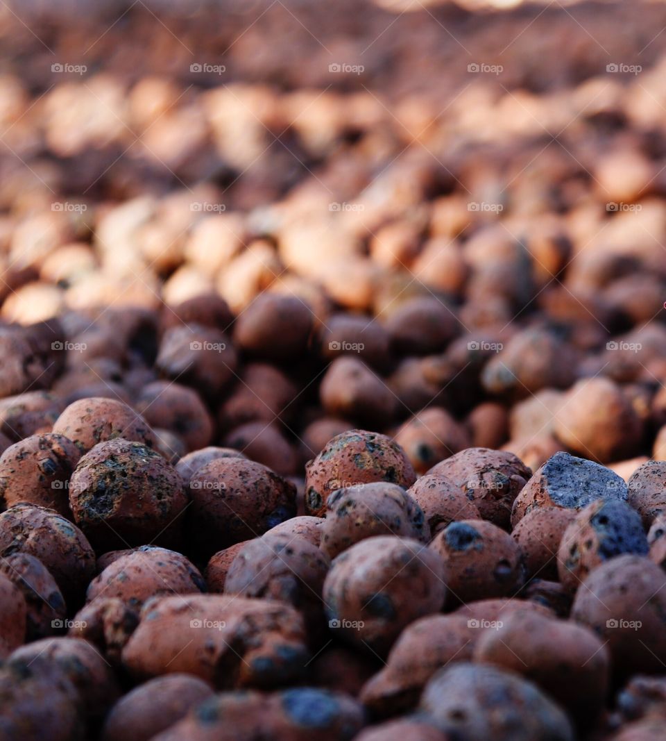 Close-up of a small rocks