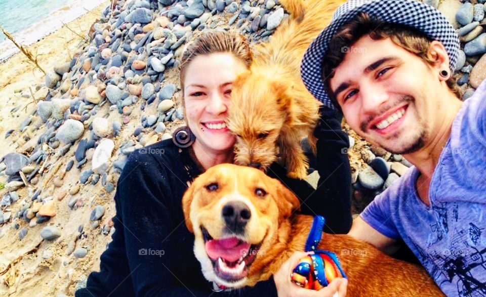 Happy and joyful boy with his girl and dogs.  Whole family enjoying the beach.  all very smiling