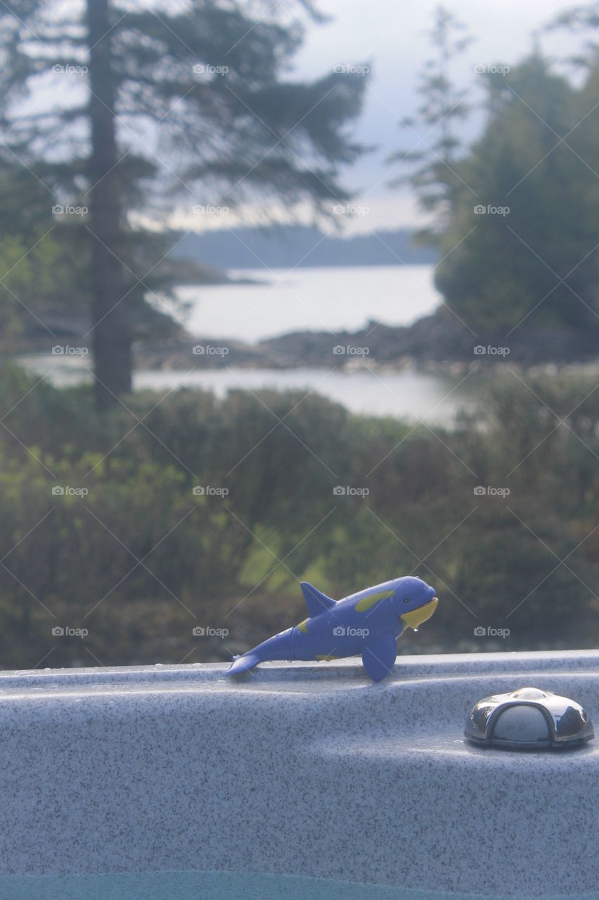 View of the beautiful west coast shoreline, blue ocean, windswept trees, secluded inlet, islands in the background and a whale in the foreground - all from the comfort of an outdoor hot tub!