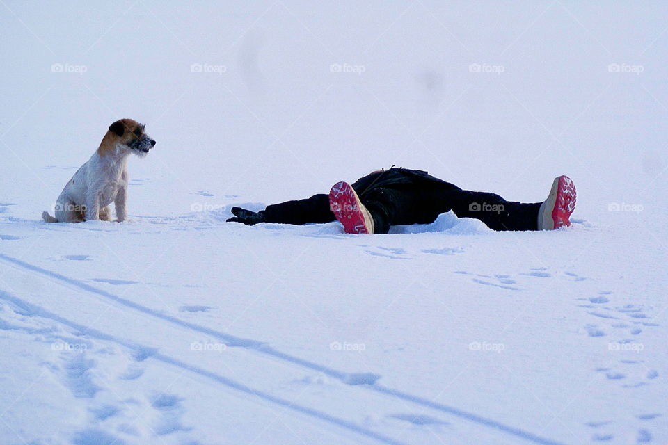 A person lying on snow with a dog