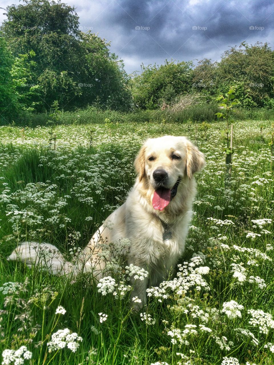Zoe enjoying the Nature