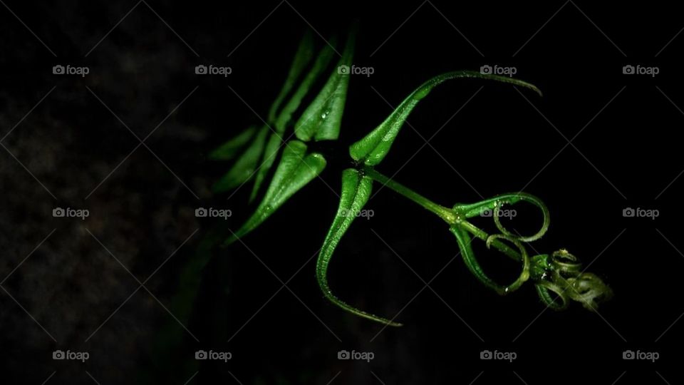 Went out during the night to just get some fresh, but ended up clicking my all time favourite picture.