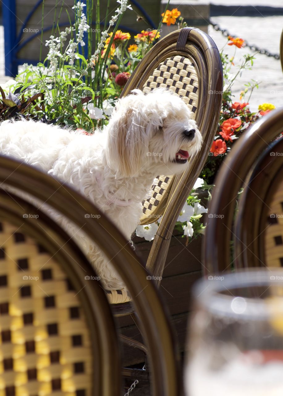 Waiter, service please.