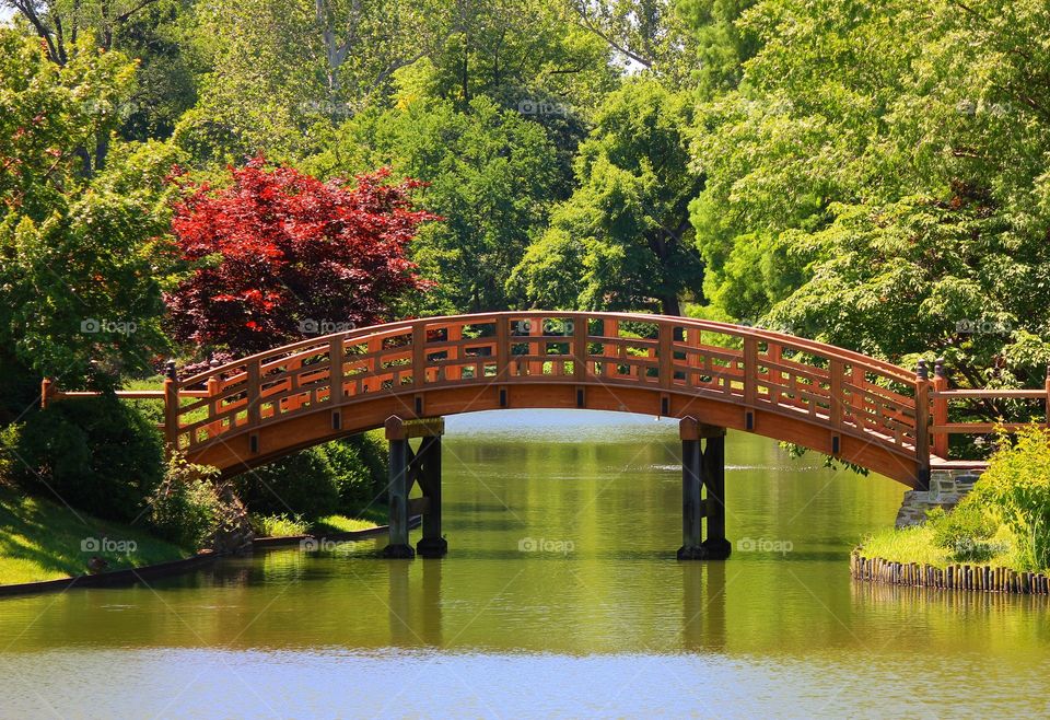 View of bridge over pond