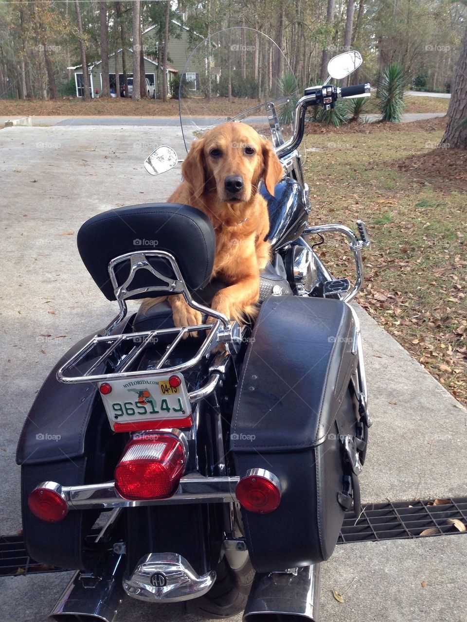 Riley motorcycle 