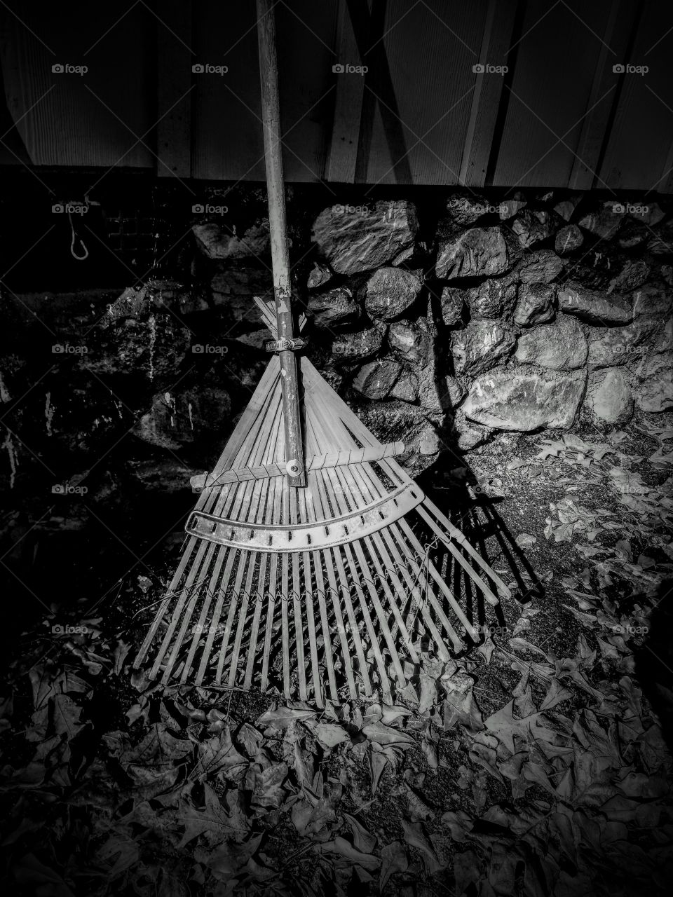 old rake