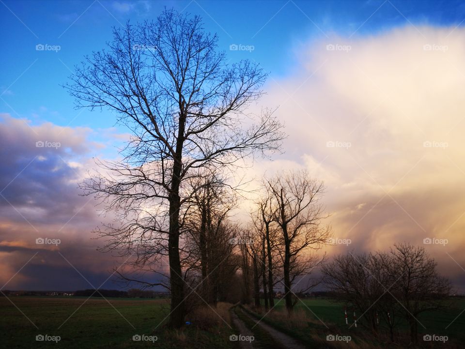 Sunshine after the rain