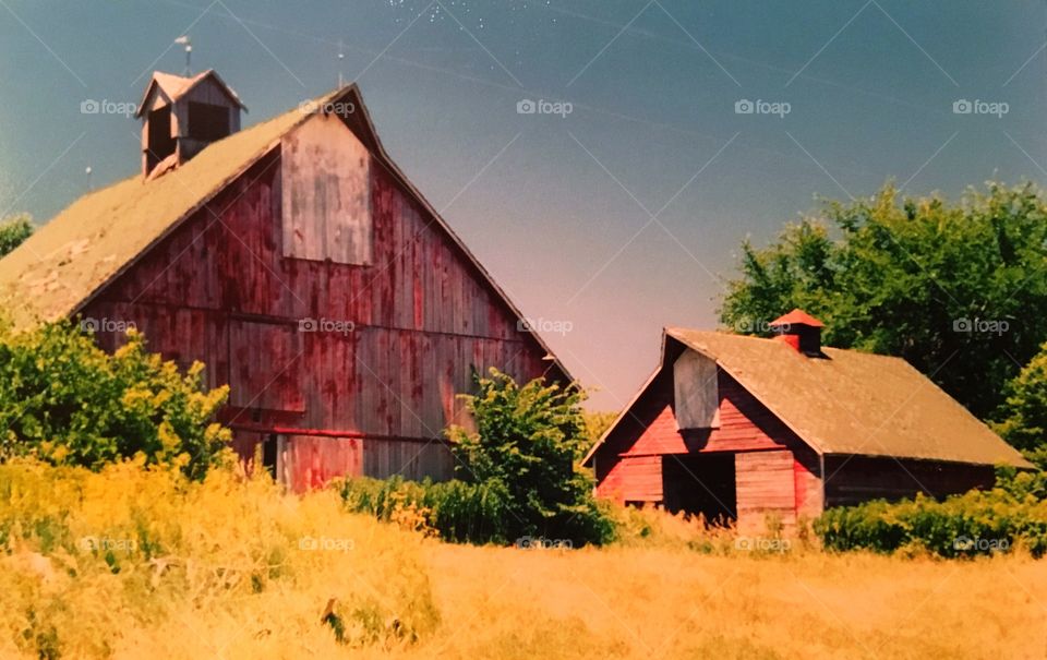 Rustic barns in Iowa 